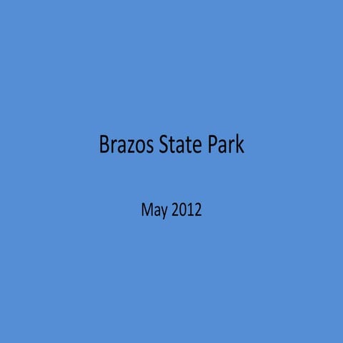 Brazos State Park
