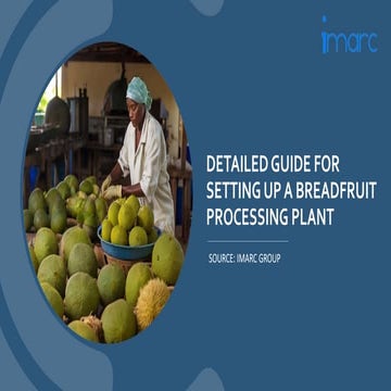 Breadfruit Processing Plant Project Report 2024