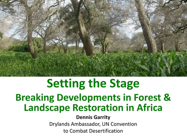 Breaking developments in forest & landscape restoration in Africa