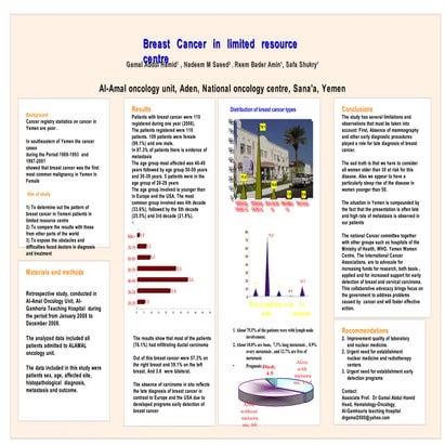 Arab Women S Breast Cancer Screening Practices A Literature Review | PDF