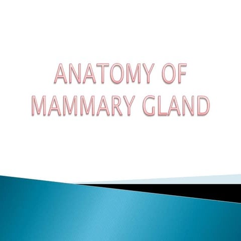 ANATOMY OF MAMMARY GLAND