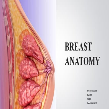 BREAST ANATOMY 