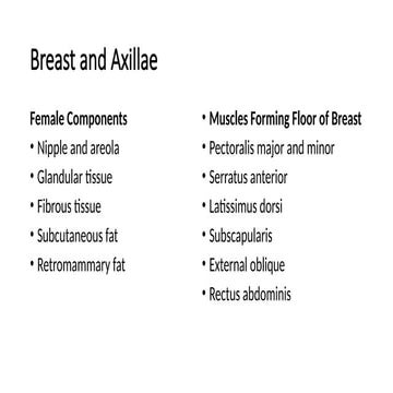 Breast and Axillae PPT.pptx comprehensive head to toe assessment | PPTX