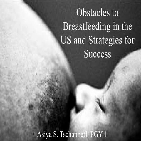 Breast Feeding-Issues and Support in US  .ppt
