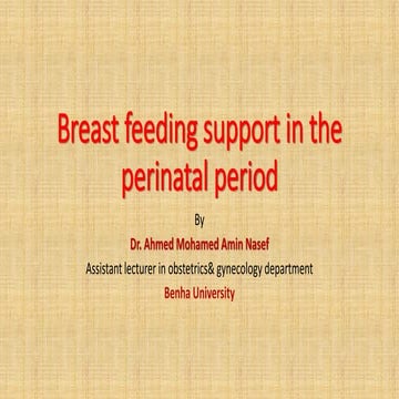 Breast feeding support in the perinatal period.pdf