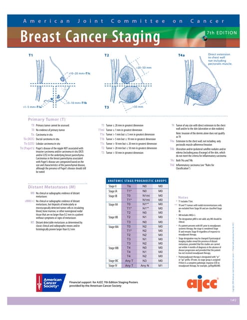Staging of cancer | PPT