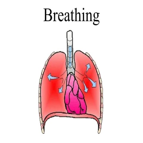 Breathing