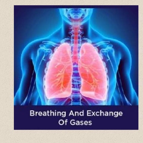 breathing-210415115536.pptx complete information