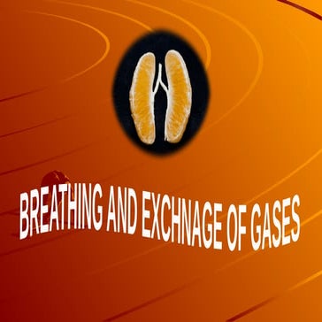 breathing and exchange of gases (1).pptx [Repaired].pptx