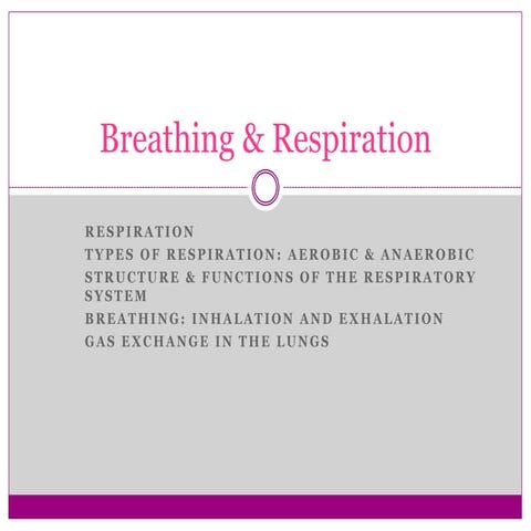 Breathing & Respiration
