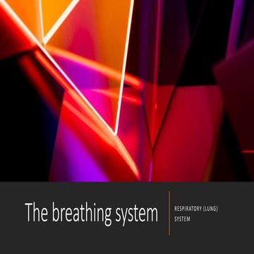 breathing system.pptx