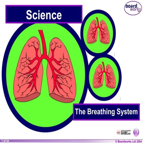 Breathing system exposition