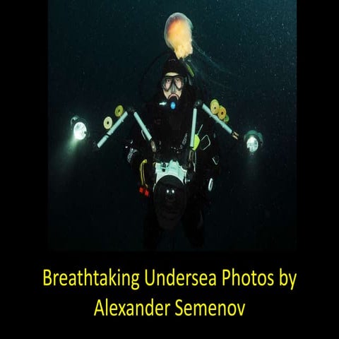 Breathtaking undersea photos by alexander semenov