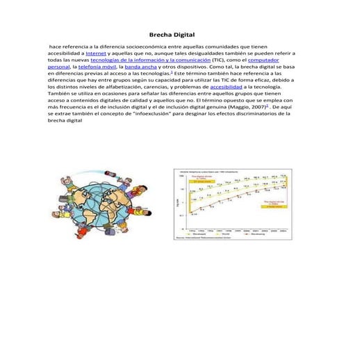 Brecha digita1