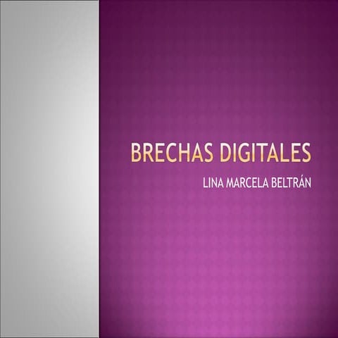 Brechas digitales lina beltrán