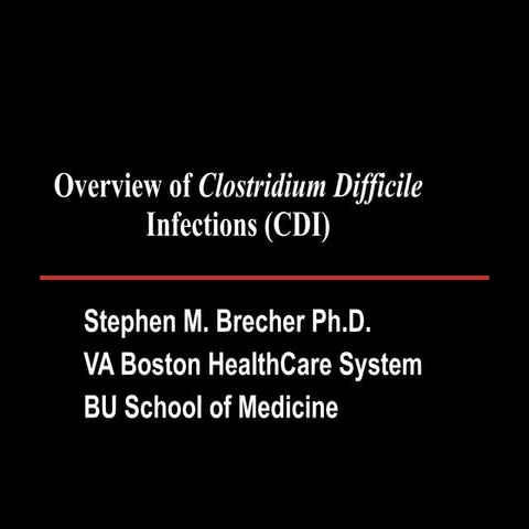 Overview of C difficile Infections - Dr Steve Brecher - November 2010 Symposium