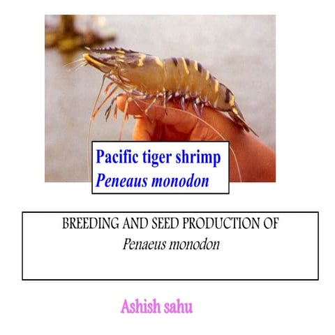 Breeding and seed production of Giant tiger prawn ppt