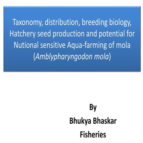 Reproduction cycle of tilapia specie | PPTX
