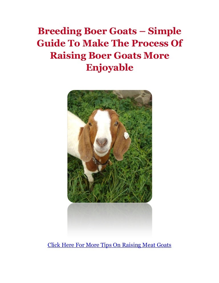 Breeding Boer Goats Simple Guide To Make The Process Of Raising Boe…
