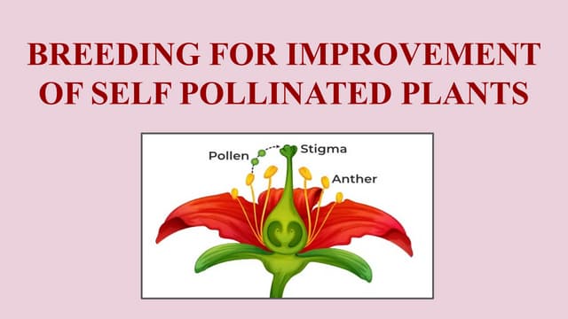 PEDIGREE METHOD OF PLANT BREEDING | PPTX