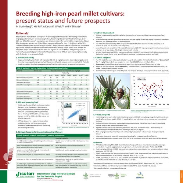 Breeding high-iron pearl millet cultivars: present status and future prospects