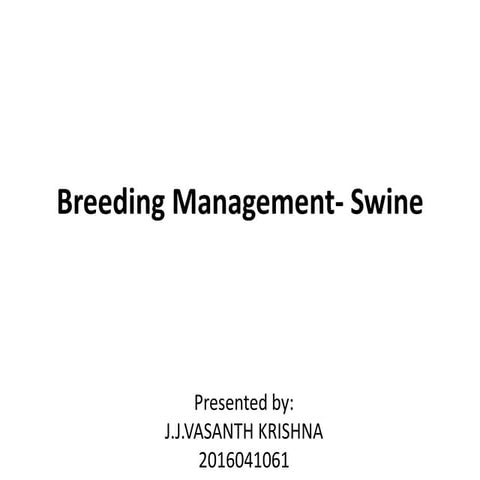 Breeding management - Swine