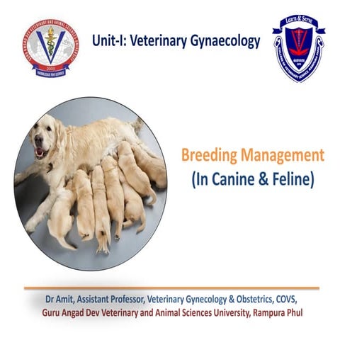 Breeding management in gynaecological .pdf