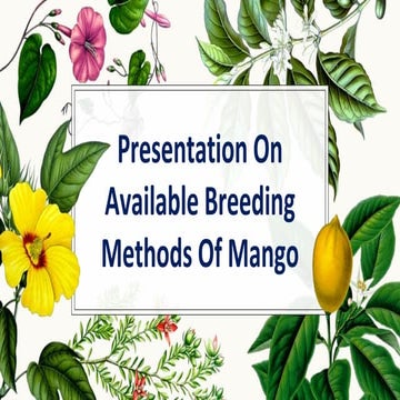 Breeding methods of mango