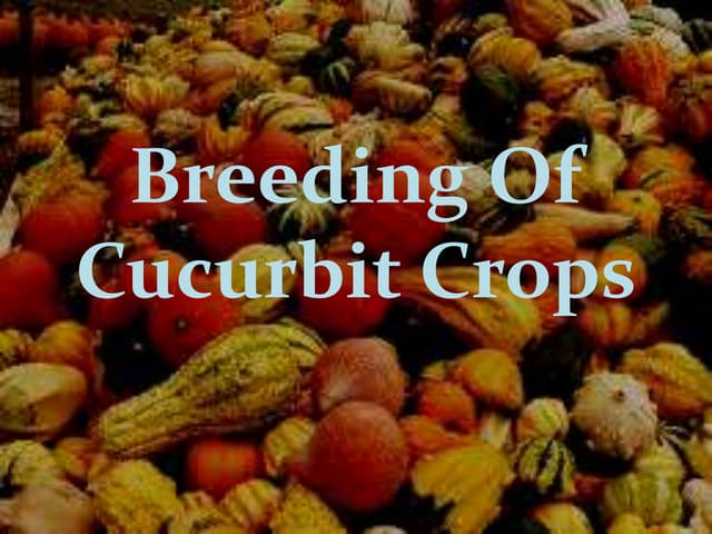 breedingofcucurbits-170110142324-thumbnail.jpg