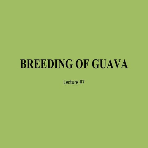 Breeding of guava