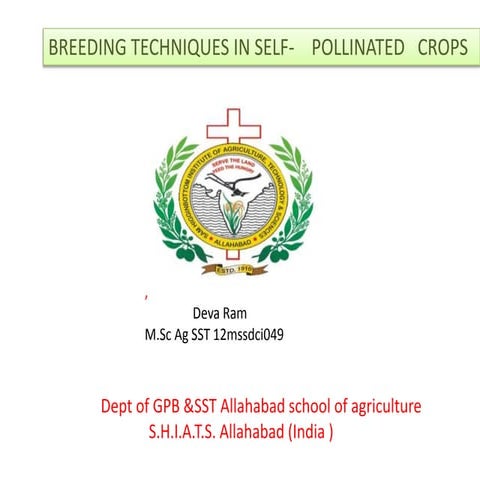 Breeding techniques in self pollinated crops presentation
