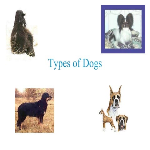 Presentation on Dogs | PPTX