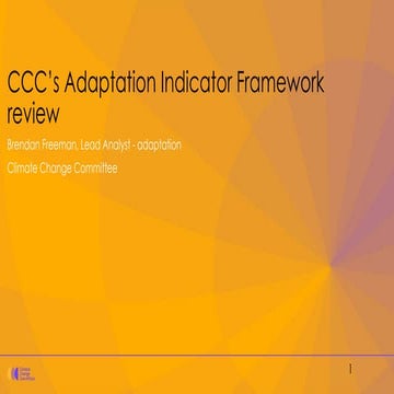 Presentation - Measuring progress in implementing national adaptation policie...
