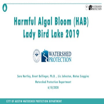 Harmful Algal Bloom Lady Bird Lake 2019, Sara Hartley and Brent Bellinger - City of Austin Watershed Protection Department 