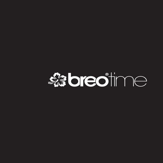 Breo Block Watch Instructions | PDF