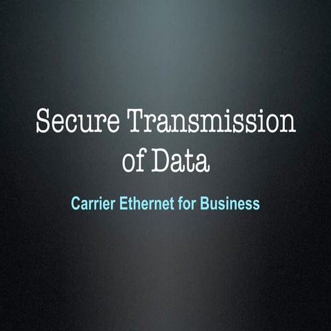 Brett Lewis - Secure Transmission of Data on Metro Ethernet Networks