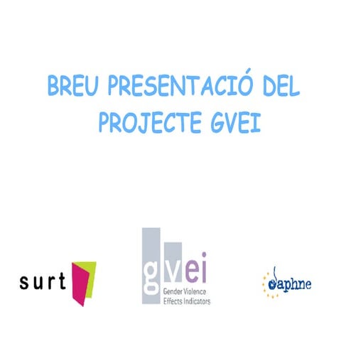 Presentació del projecte Gvei