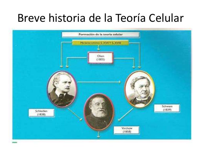 Antecedentes historicos de la teoria celular_teorias
