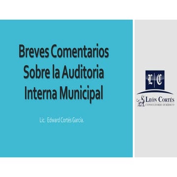Breves comentarios sobre la auditoria interna municipal