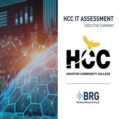 BRG HCC IT ASSESSMENT