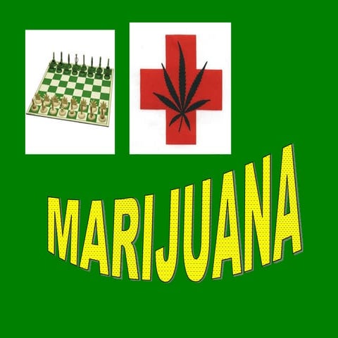 B R I A N  A N D  T O M M Y