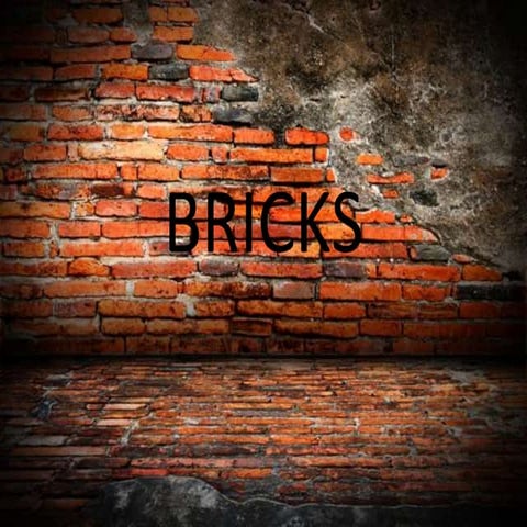 Bricks