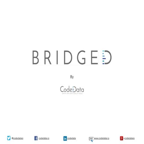 Bridged Overview by CodeData