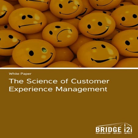 BRIDGEi2i Whitepaper - The Science of Customer Experience Management