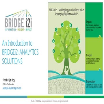 BRIDGEi2i Analytics Solutions Introduction