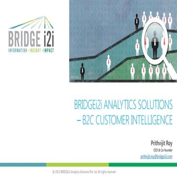 BRIDGEi2i Analytics Solutions - B2C Customer Intelligence