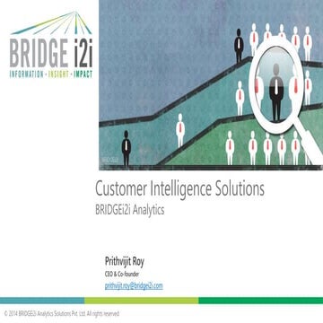 BRIDGEi2i Customer Intelligence Solutions