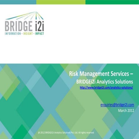 BRIDGEi2i Risk Management Solutions