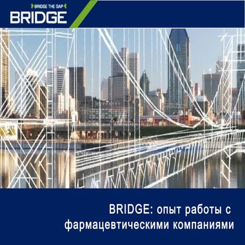 Bridge: Фармацевтический бизнес | PPT