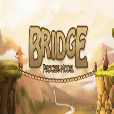Bridge Process Model